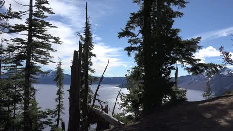 Oregon-Crater-Lake-View-And-Trees