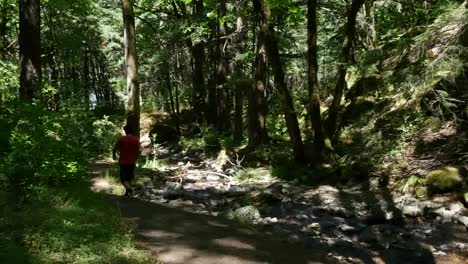 Oregon-Boy-Walks-By-Stream-Pan-And-Tilt