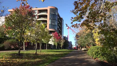 Oregon-Buildings-In-Corvallis-And-Path-In-Fall-With-Bike