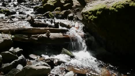 Oregon-Kleiner-Wasserfall-Und-Moosgeräusch