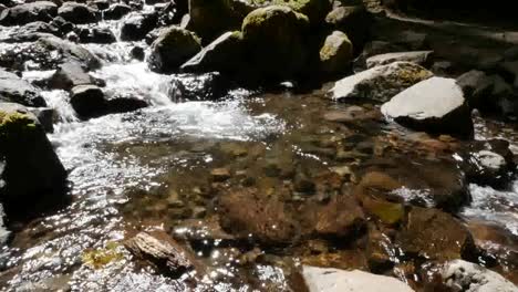 Oregon-Kleiner-Wasserfall-Und-Pool-Kippen-Nach-Unten