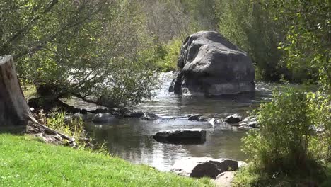 Oregon-Wasser-Fließt-Um-Große-Felsen-Im-Deschutes-Fluss