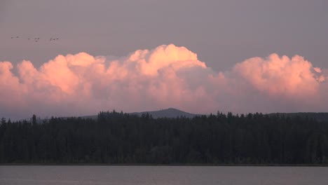 Washington-Vögel-Fliegen-über-Wolken-Mit-Geräuschen-With