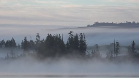 Washington-Nebel-ändert-Seine-Farbe-Im-Morgendlichen-Zeitraffer