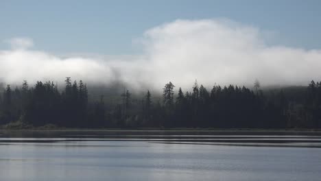 Washington-Morning-Mist-On-Hill-Top