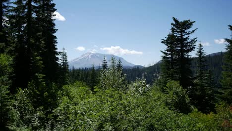 Washington-Trees-And-Mt-St-Helens-In-Distance
