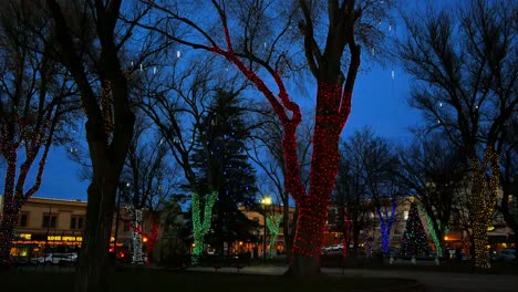 Arizona-Prescott-Weihnachtsbeleuchtung-Auf-Bäumen