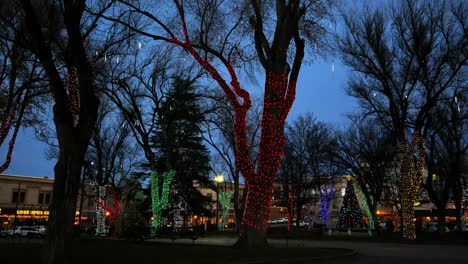 Arizona-Prescott-Lichter-An-Weihnachtsbäumen