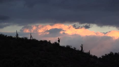 Cactus-De-Arizona-Y-Lapso-De-Tiempo-De-Gran-Nube