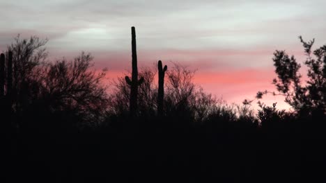 Cielo-Rosado-De-Arizona-Al-Atardecer