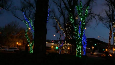 Arizona-Bäume-Mit-Weihnachtsbeleuchtung-Rechts-Schwenken