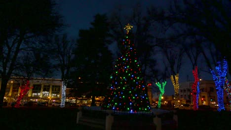 Arizona-Bäume-Mit-Weihnachtsbeleuchtung-Zeitraffer