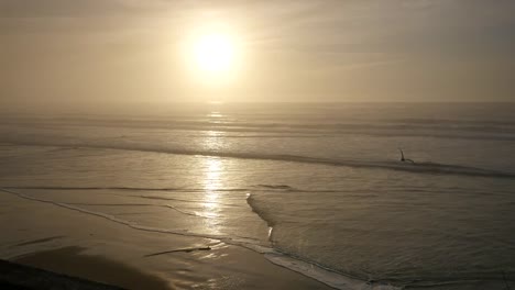 Oregon-Küste-Helle-Sonne-Und-Reflexionen-Mit-Vogel