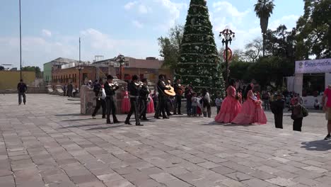 Mexico-Dolores-Hidalgo-Mariachis-And-Christmas-Tree-Pan
