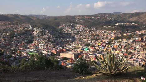 Mexico-Guanajuato-View-Framed-By-Maguey