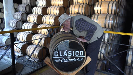 Mexico-Jalisco-Sid-Smells-Tequila-In-Barrel
