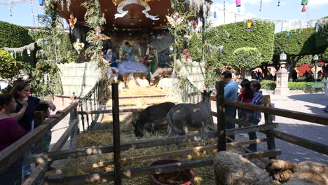 Mexico-San-Miguel-Animals-And-Manger-Scene