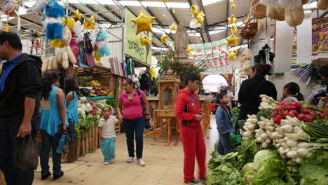 Mexico-San-Miguel-Interior-Market-With-Shoppers