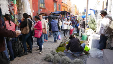 Mexico-San-Miguel-Market-At-Christmas