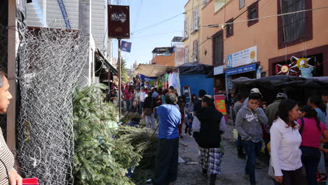 Mexico-San-Miguel-People-In-Market