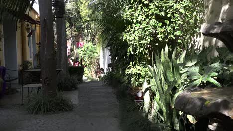 Mexico-Tlaquepaque-Inn-With-Plants