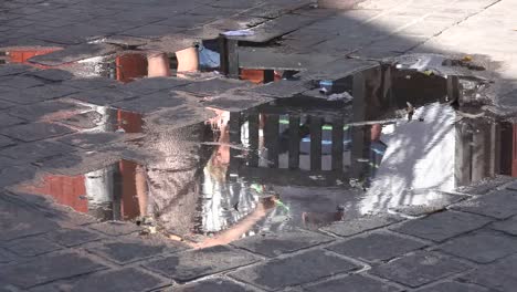 Mexico-Tlaquepaque-Reflection-In-Puddle