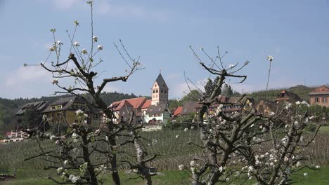 Frankreich-Elsass-Itterswiller-Obstbaum-Zweige-Rahmen-Turm