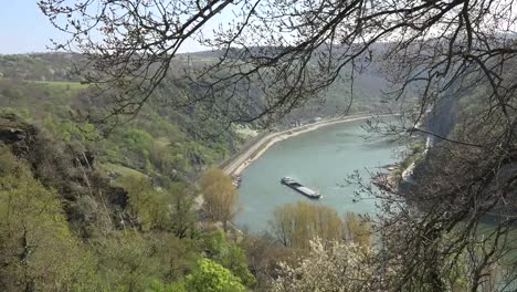 Germany-Rhine-At-Loreley-Barge-Through-Branches