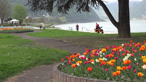 Germany-St-Goar-With-People-And-Tulips