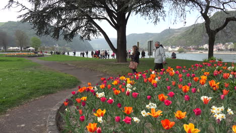 Germany-St-Goar-With-Tulips-And-Tourists