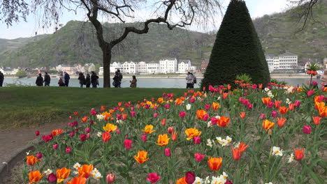 Germany-Tulip-Bed-And-Tourists-By-Rhine