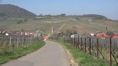 Deutschland-Weinstraße-Dorf-Vergrößern