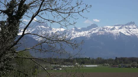 Switzerland-Spring-Tree-And-Mountain-View