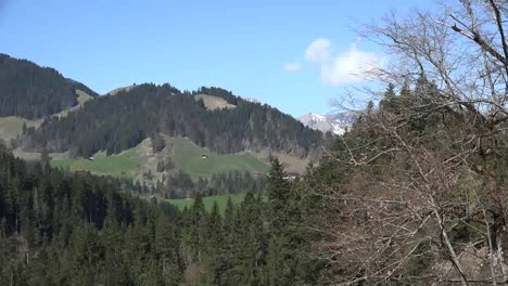 Suiza-bosques-y-montañas-en-primavera