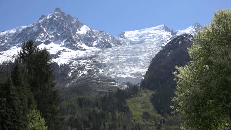 Frankreich-Mont-Blanc-Gletscher-Umrahmt-Von-Frühlingsbaumblättern