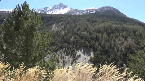 Francia-Soplando-Hierba-Y-Pendiente-Boscosa-En-Col-De-Larche-Pass-Road