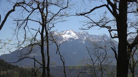 France-Spring-Branches-Frame-Peak-In-Alp-Sere