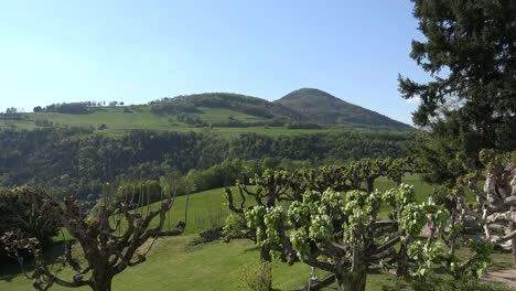 Frankreich-Beschnittene-Bäume-Und-Hügel-In-Der-Nähe-Von-Grenoble