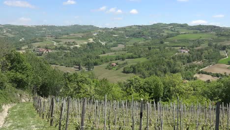 Italy-Landscape-With-Grapevines-On-Hills