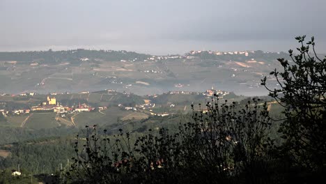 Italy-Vegetation-In-Silhouette-Frames-View-Of-Langhe-Hills