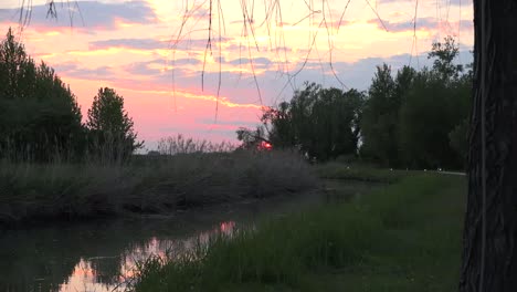 Italy-Setting-Sun-Behind-Reeds-Zooms-Out