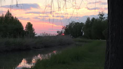 Italy-Setting-Sun-Through-Trees-Zoom-Out