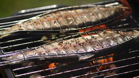 Tasty-whole-fishes-placed-on-barbecue-grill