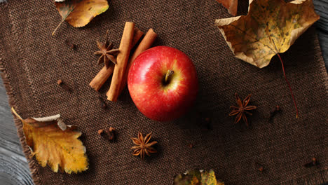 Ripe-apple-with-fallen-leaves-and-spices