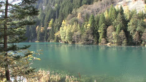 Lago-En-El-Rin-Suiza