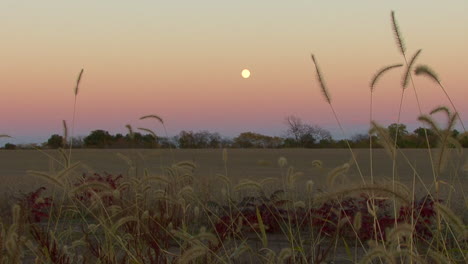 Nebraska-full-moon