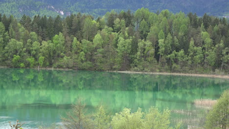 Österreich-Reflexionen-Im-Blaugrünen-Wasser-Des-Sees