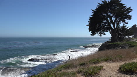 California-Santa-Cruz-man-on-wave-cut-terrace-with-waves