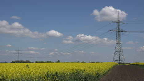 Germany-field-of-rapeseed-and-power-lines
