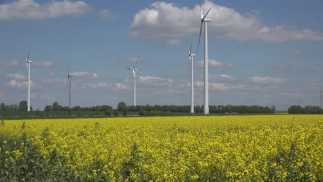 Alemania-Campo-De-Turbinas-Eólicas-Y-Colza